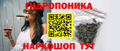 индика Чапаевск