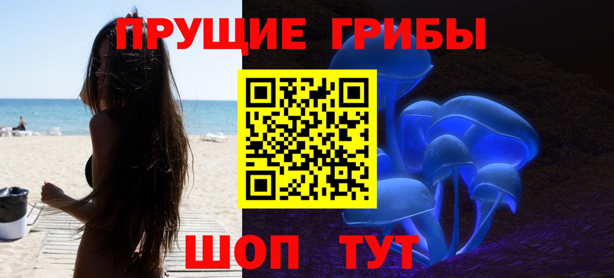 Галлюциногенные грибы GOLDEN TEACHER  где купить   Галлюциногенные грибы прущие грибы  Надым  Вход с VPN 